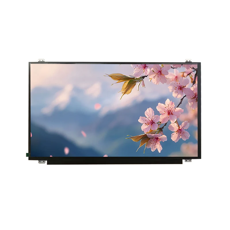 15.6 'HD Wide Temp IPS TFT Módulo de pantalla LCD