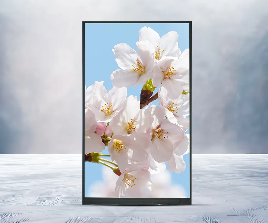 Pantalla HD TFT LCD