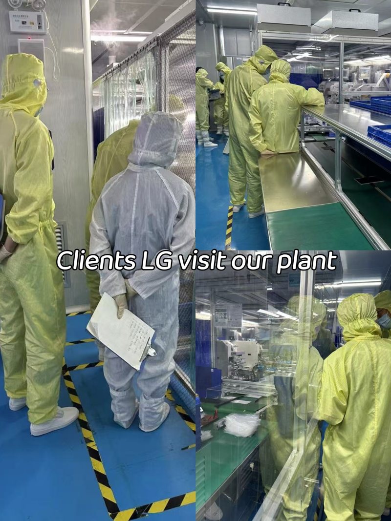 Visita productiva del sitio
